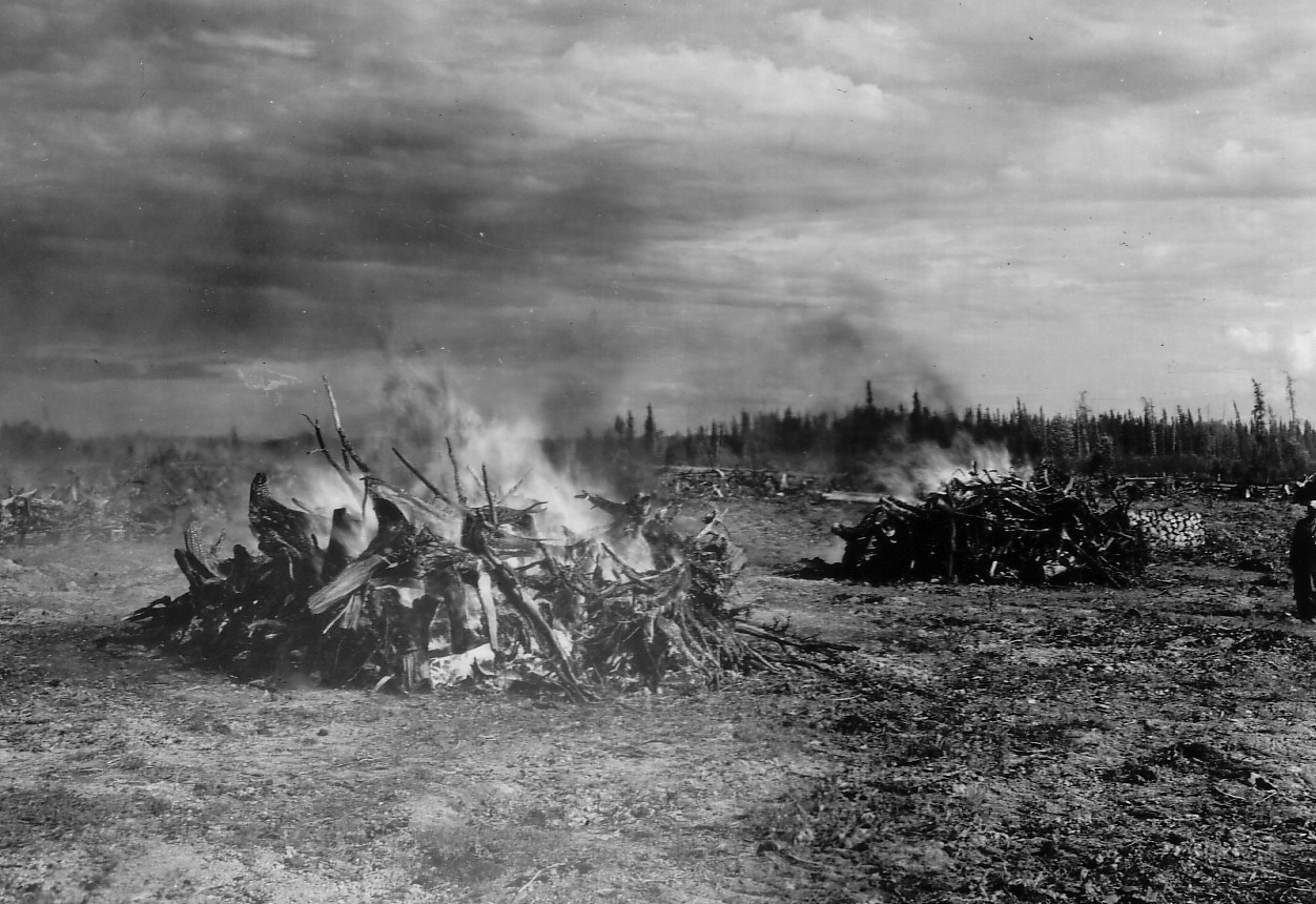 On brûle les souches arrachées par le tracteur sur le lot de M. Joachin Bouchard, à St-Éphrem de Rousseau en Abitibi