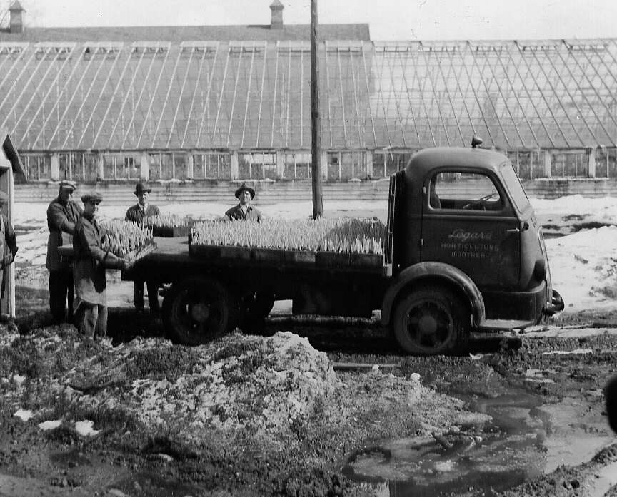 Camion rempli de boîte de boutures chez le fleuriste Légaré et Frères dans le quartier Côte-des-Neiges à Montréal en 1947