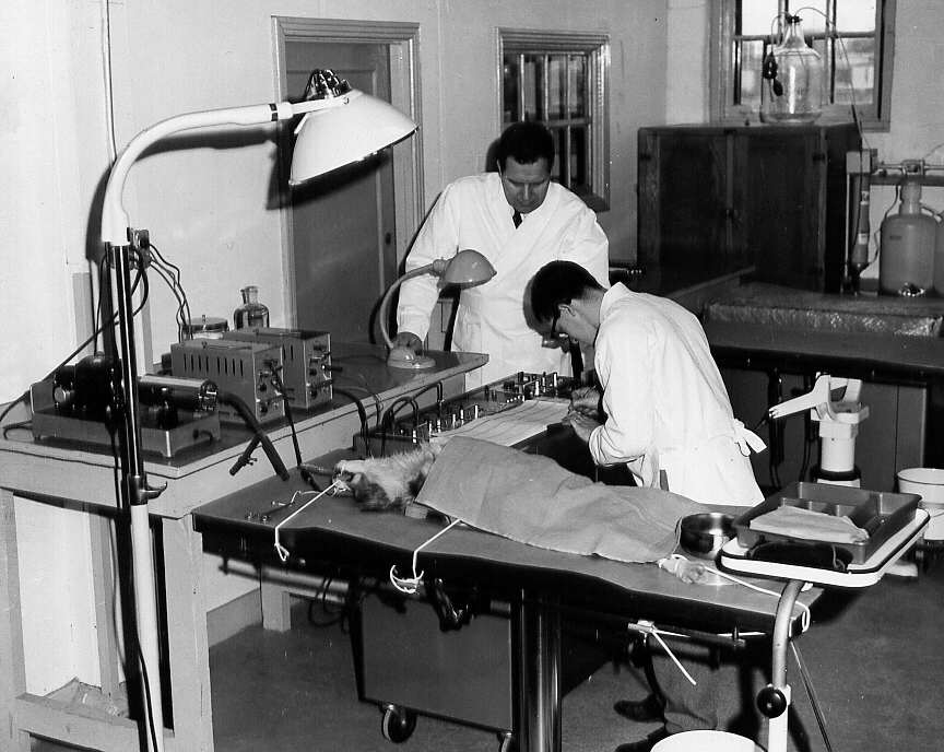 Laboratoires montrant le matériel destiné à la recherche physiologique sur les animaux à l'École de médecine vétérinaire de St-Hyacinthe en 1961(3)