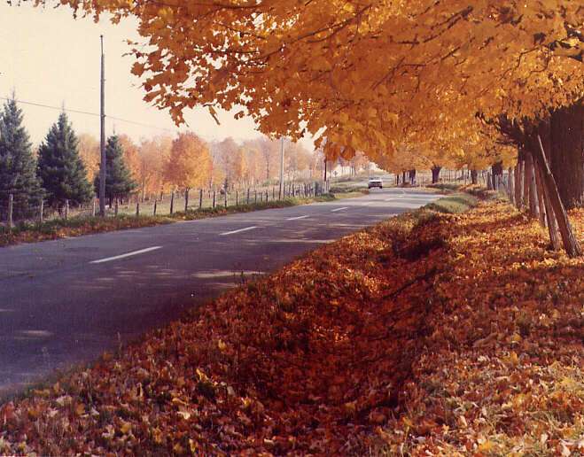 Route des Cantons de l'Est et des environs photographiée à l'automne 1970