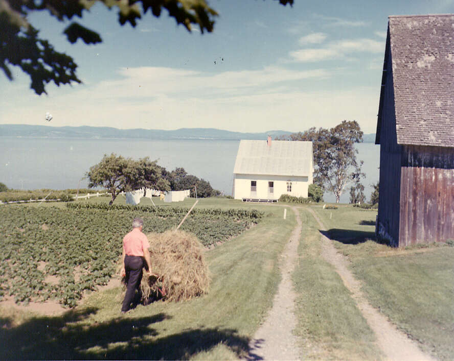 En 1973, vue d'une petite maison près du fleuve à Rivière-du-Loup. Un homme apporte, avec une brouette, du foin à la grange 