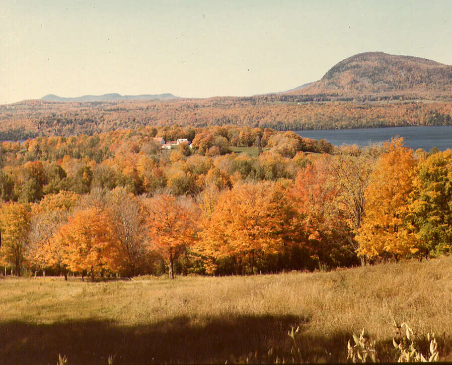 Paysage d'automne, 1975