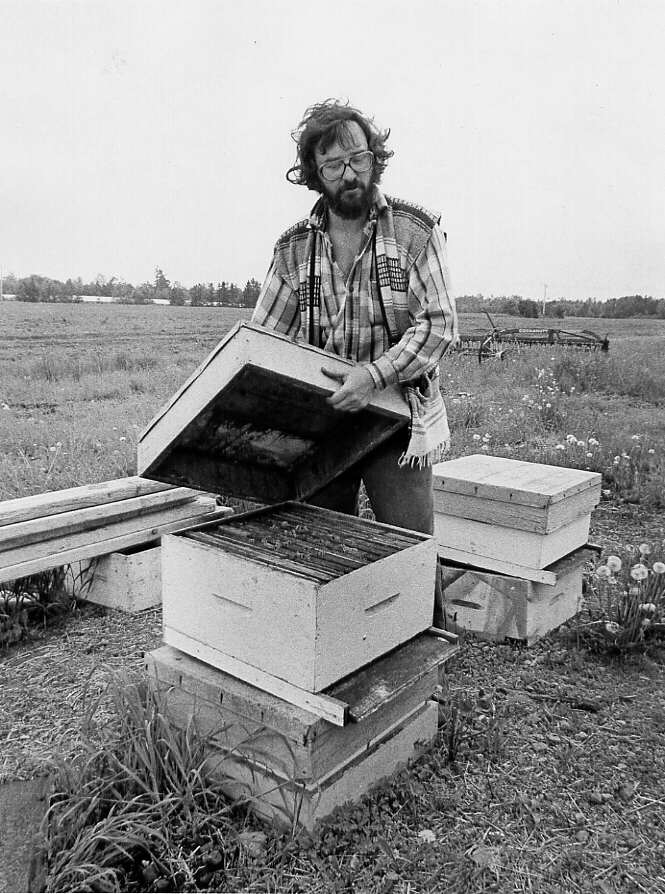 Un apiculteur récolte le miel