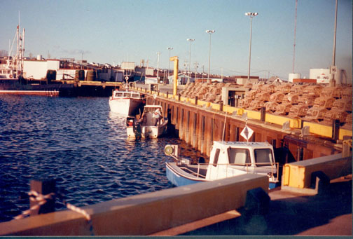 Empilades des cages à homards sur un quai à Paspébiac dans la région de la Gaspésie