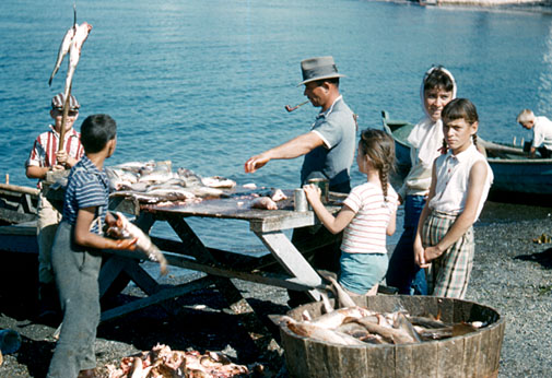 La pêche en famille dans la région de la Gaspésie