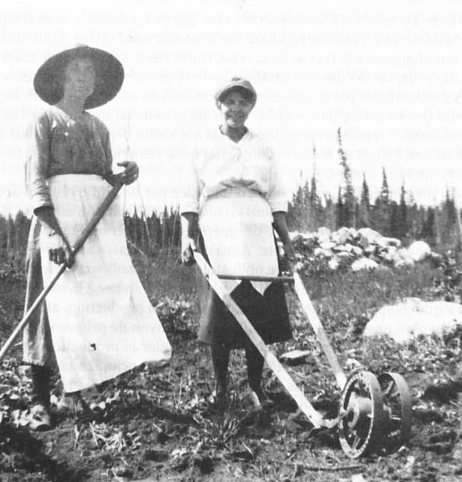 Femmes effectuant des travaux agricoles