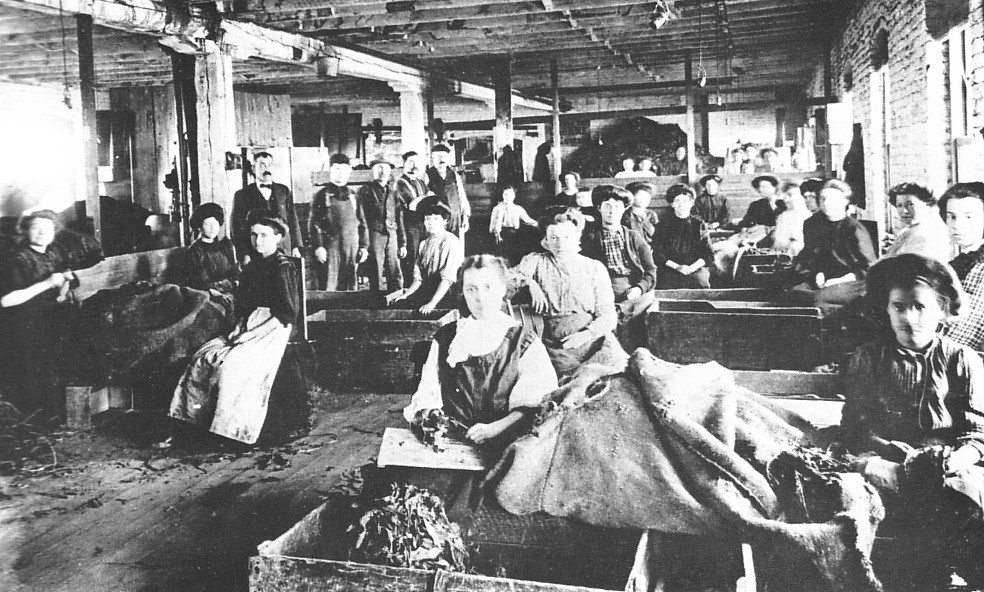Travailleurs du tabac au début du XXe siècle