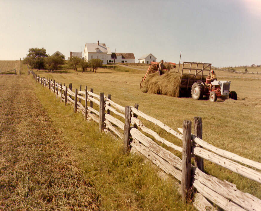 Les foins à Rivière-du-Loup, 1973