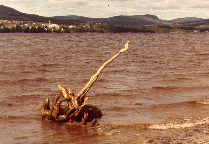 Le fleuve St-Laurent à la hauteur de Rivière-du-Loup, 1975