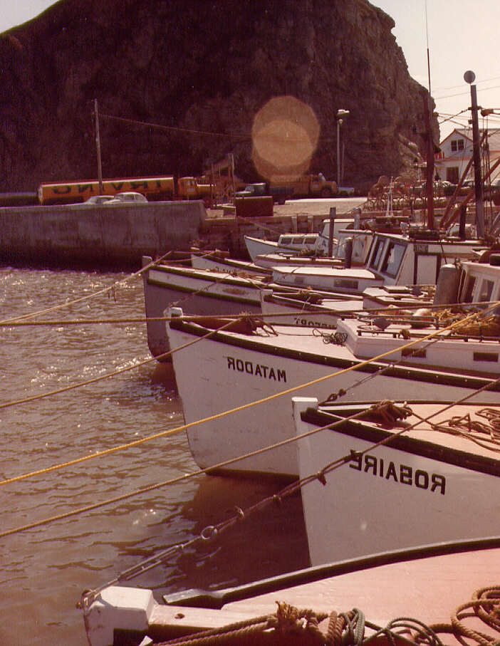 Bateaux de pêche aux Îles de la Madeleine