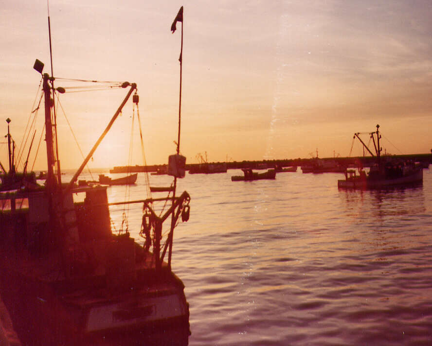 Bateaux de pêche aux Îles de la Madeleine, 1975